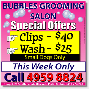 Dog Grooming Banners - Cheap