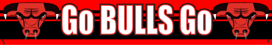 Bulls Club Banner