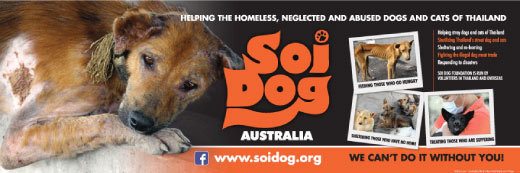 Vinyl Banner SOI Dog Charity