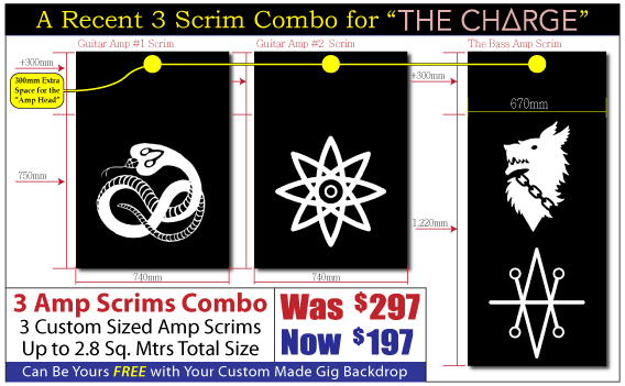 3 Scrim Custom Amp Combo Special - Saving $100