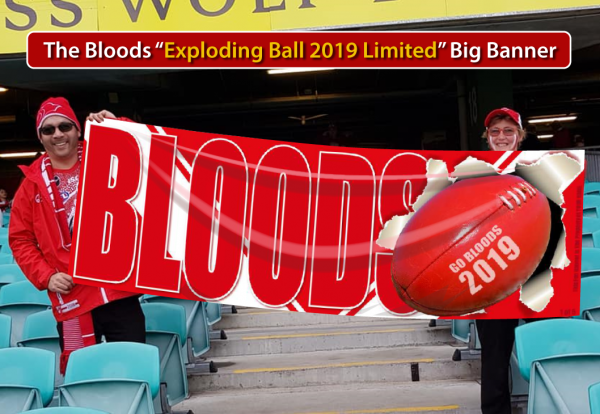 Go Bloods Exploding Ball 2019_Big_Banner