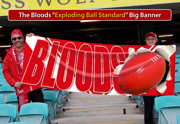 Go Bloods Exploding Ball Standard_Big_Banner